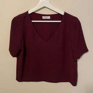 Aritzia Babaton Randy Blouse